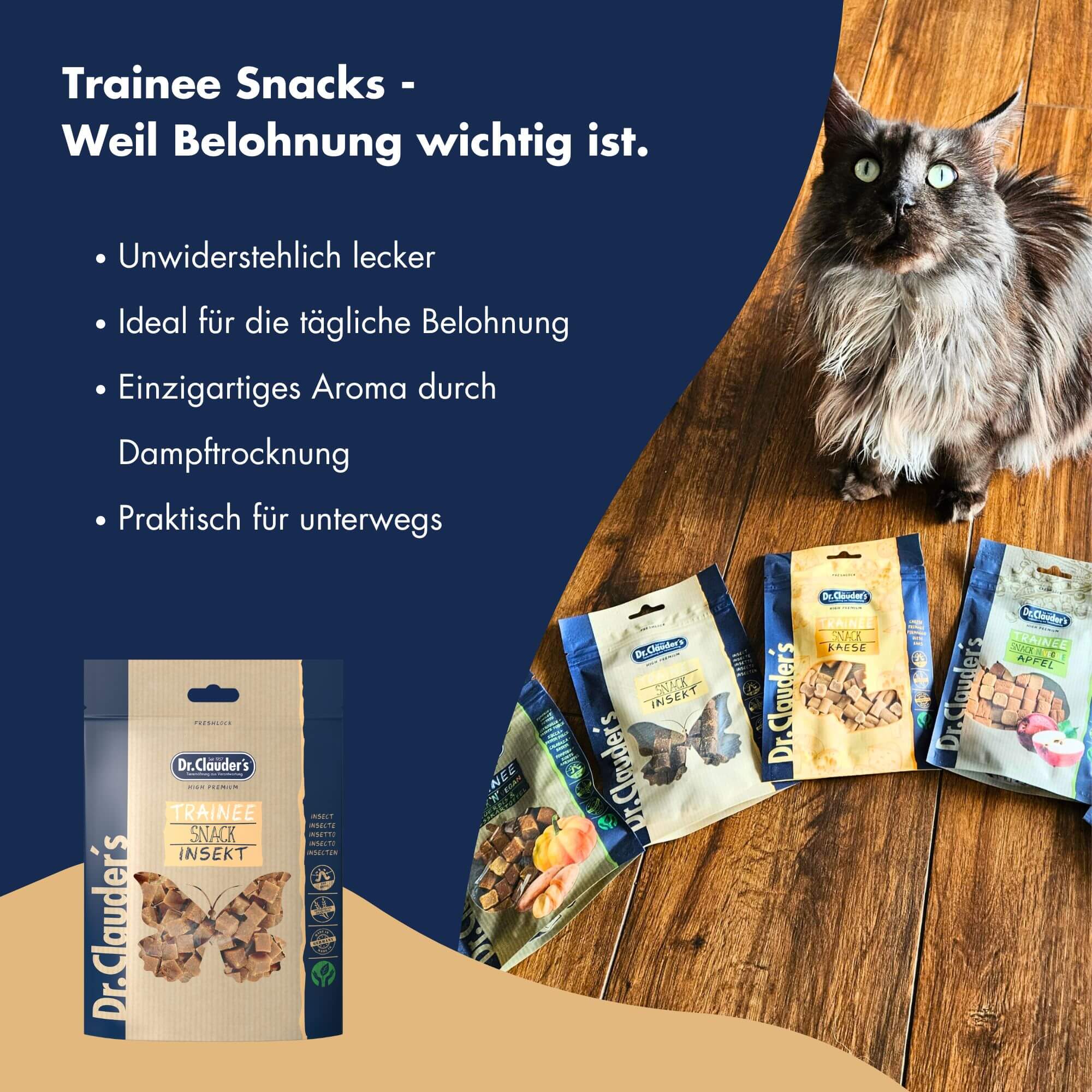 Dr.Clauder´s Trainee Snack Insekt 11