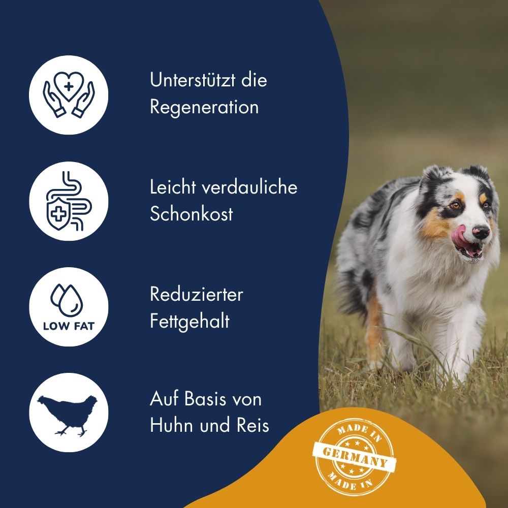 Special Diet Intestinal