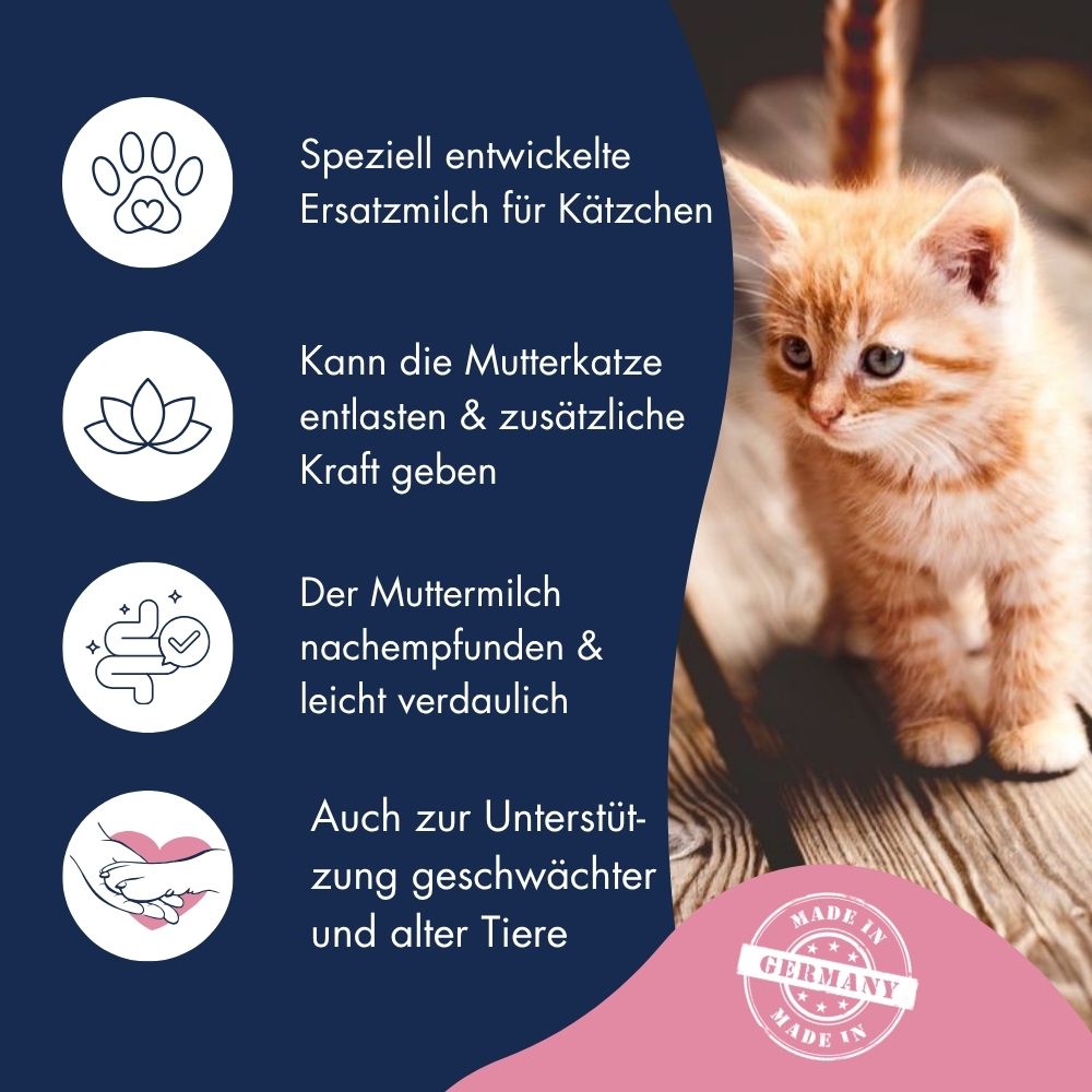 Kittenmilch+