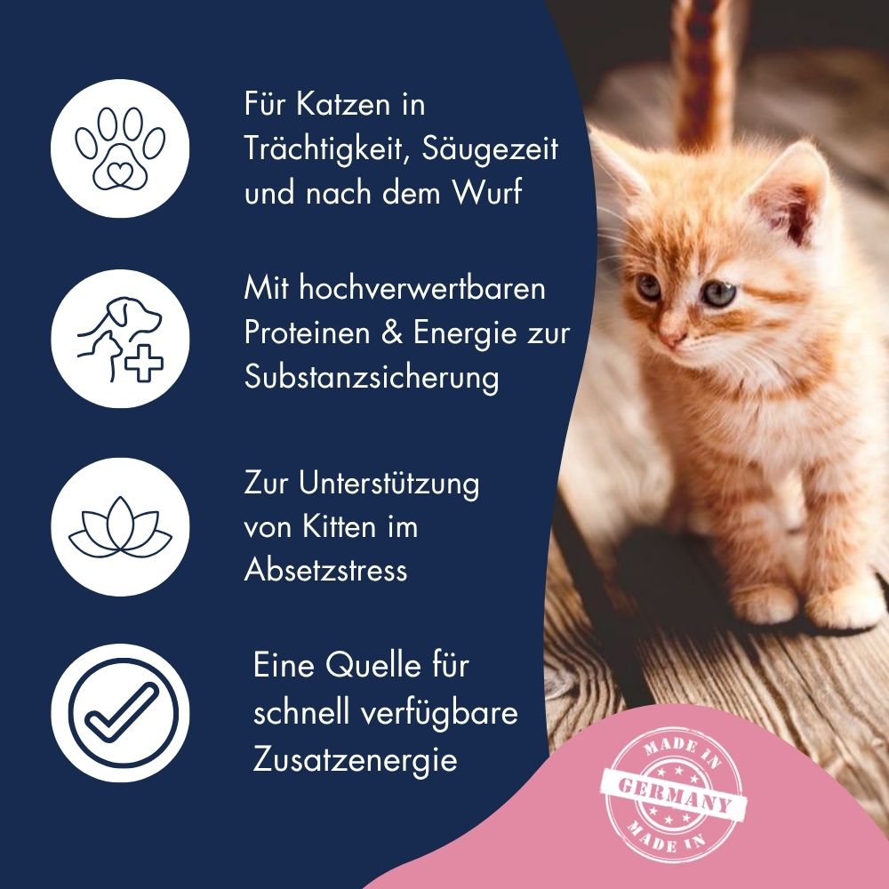 Katze Kätzchen Emulsion