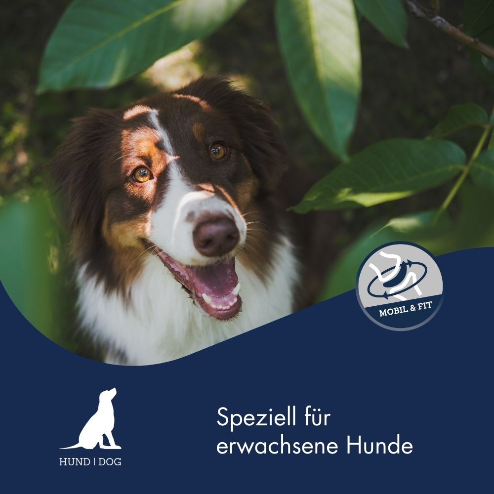 Mobil & Fit - Gelenk Serum für Hunde