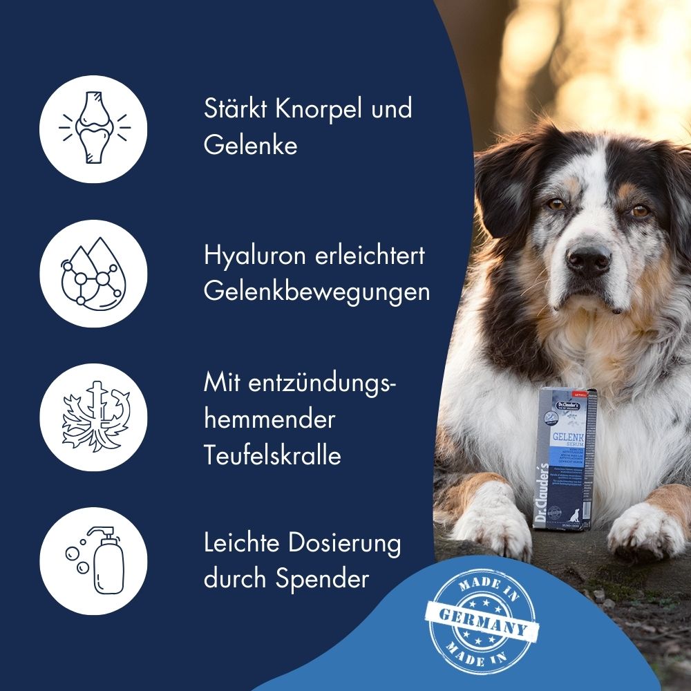 Mobil & Fit - Gelenk Serum für Hunde