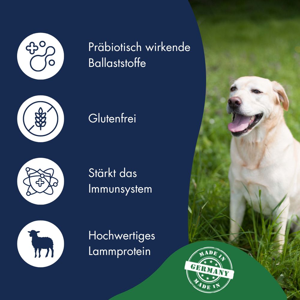 Best Choice Adult Lamm & Reis