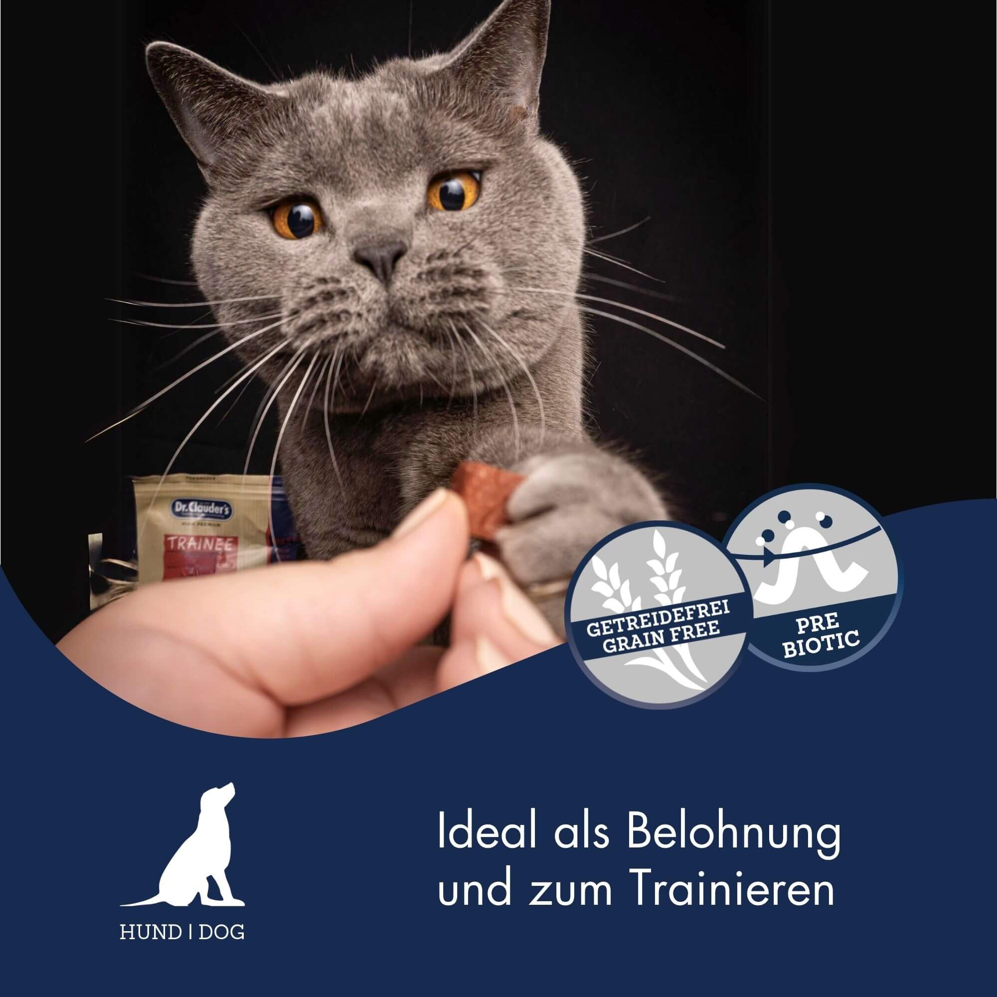 Dr.Clauders Trainee Snack Ziege