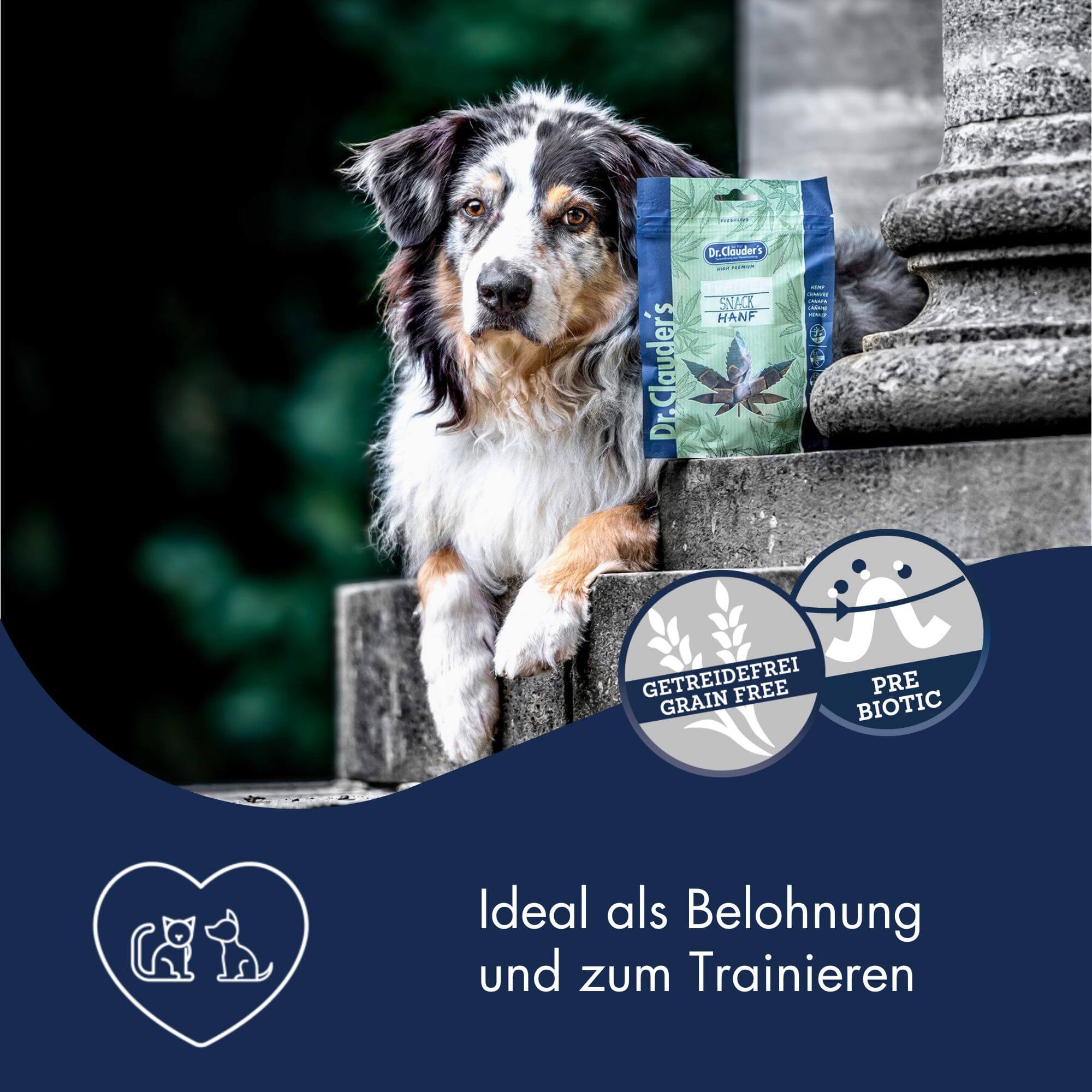 Dr.Clauder´s Trainee Snack Hanf