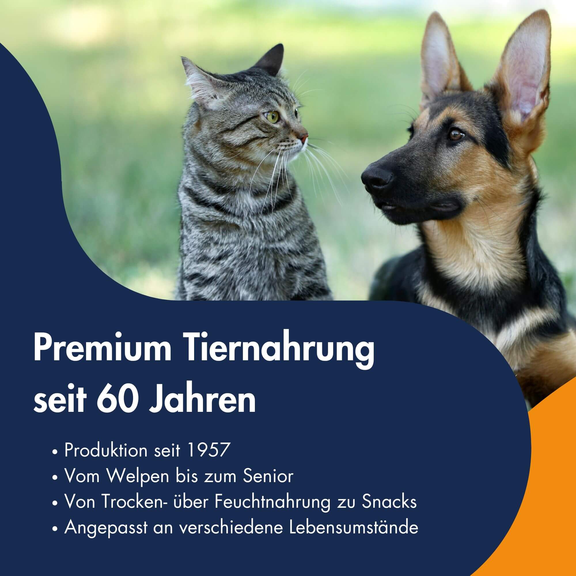 Dr.Clauder´s Trainee Snack Käse