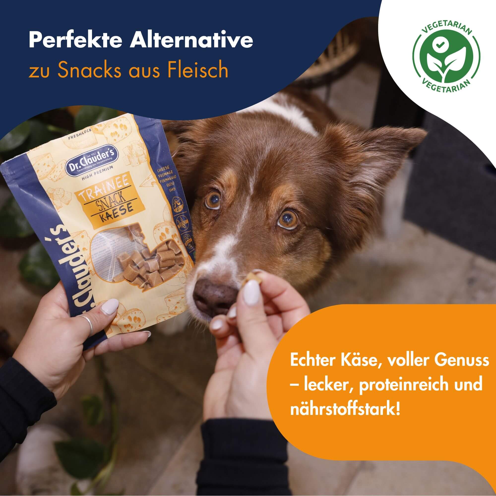 Dr.Clauder´s Trainee Snack Käse