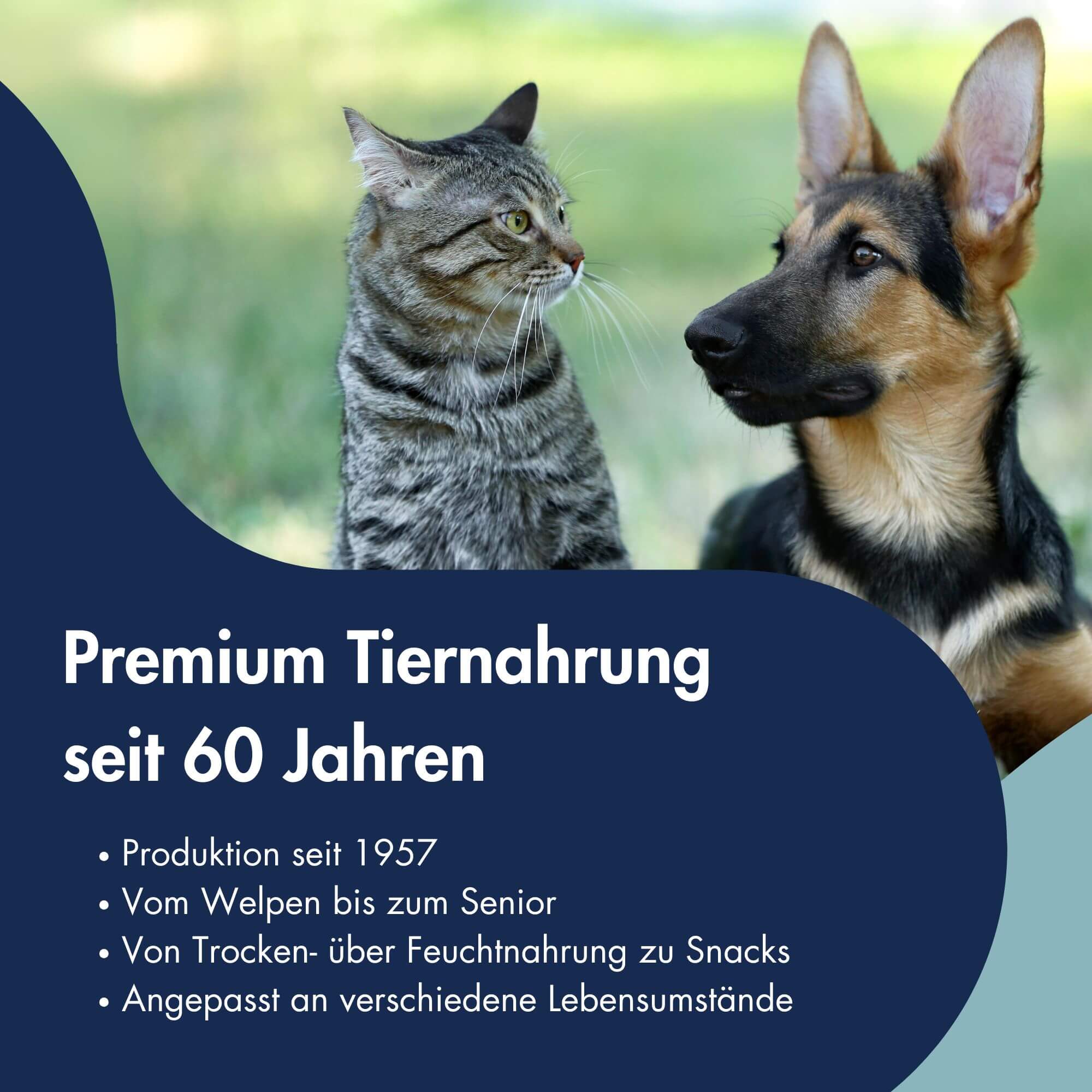 Functional Coins Yoga Flex