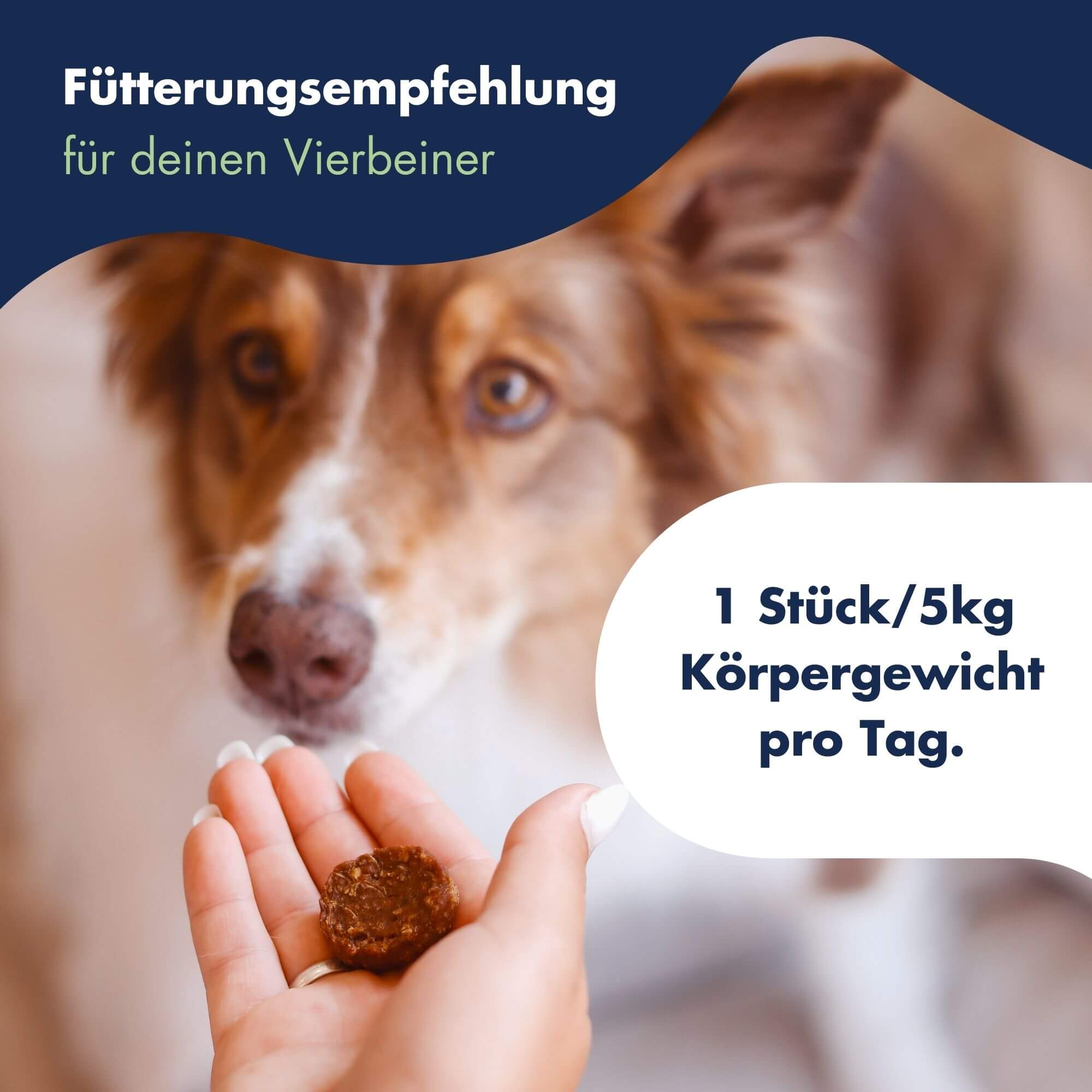 Functional Coins Shiny Star