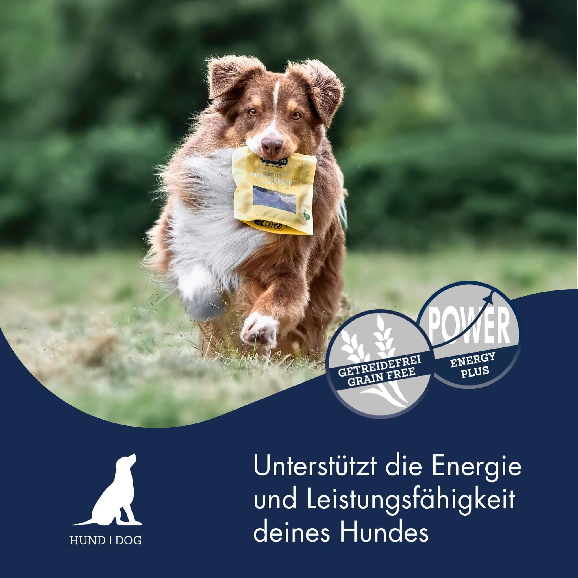 Functional Coins Power Sprint