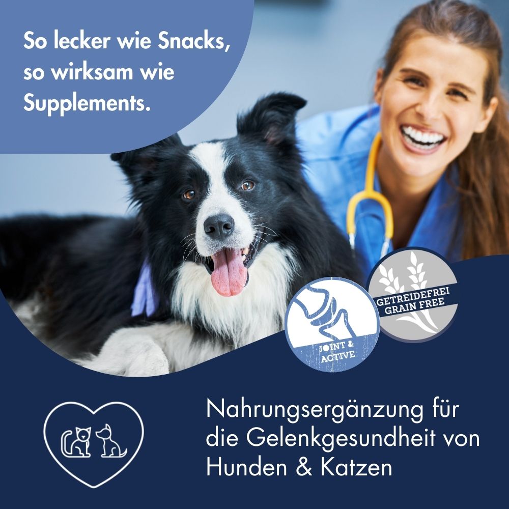 Supplement Snack Joint & Mobility