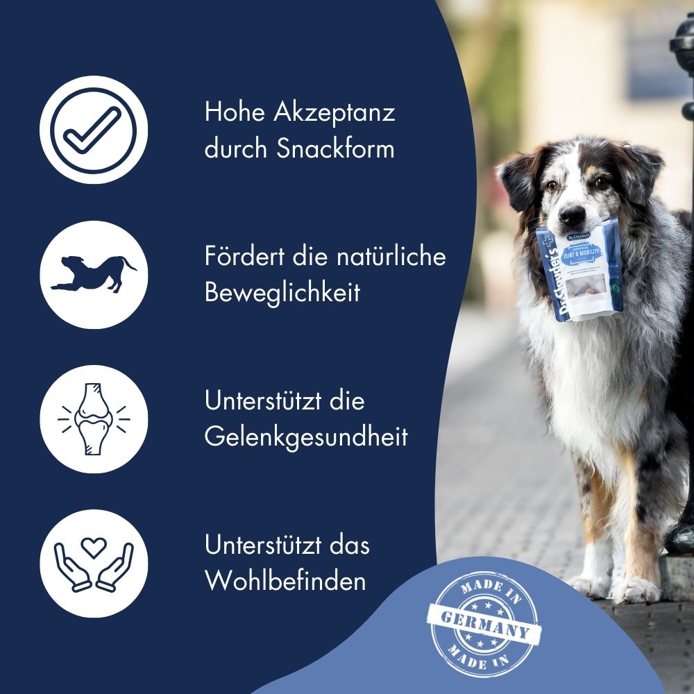 Supplement Snack Joint & Mobility