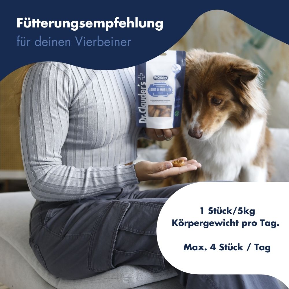 Supplement Snack Joint & Mobility