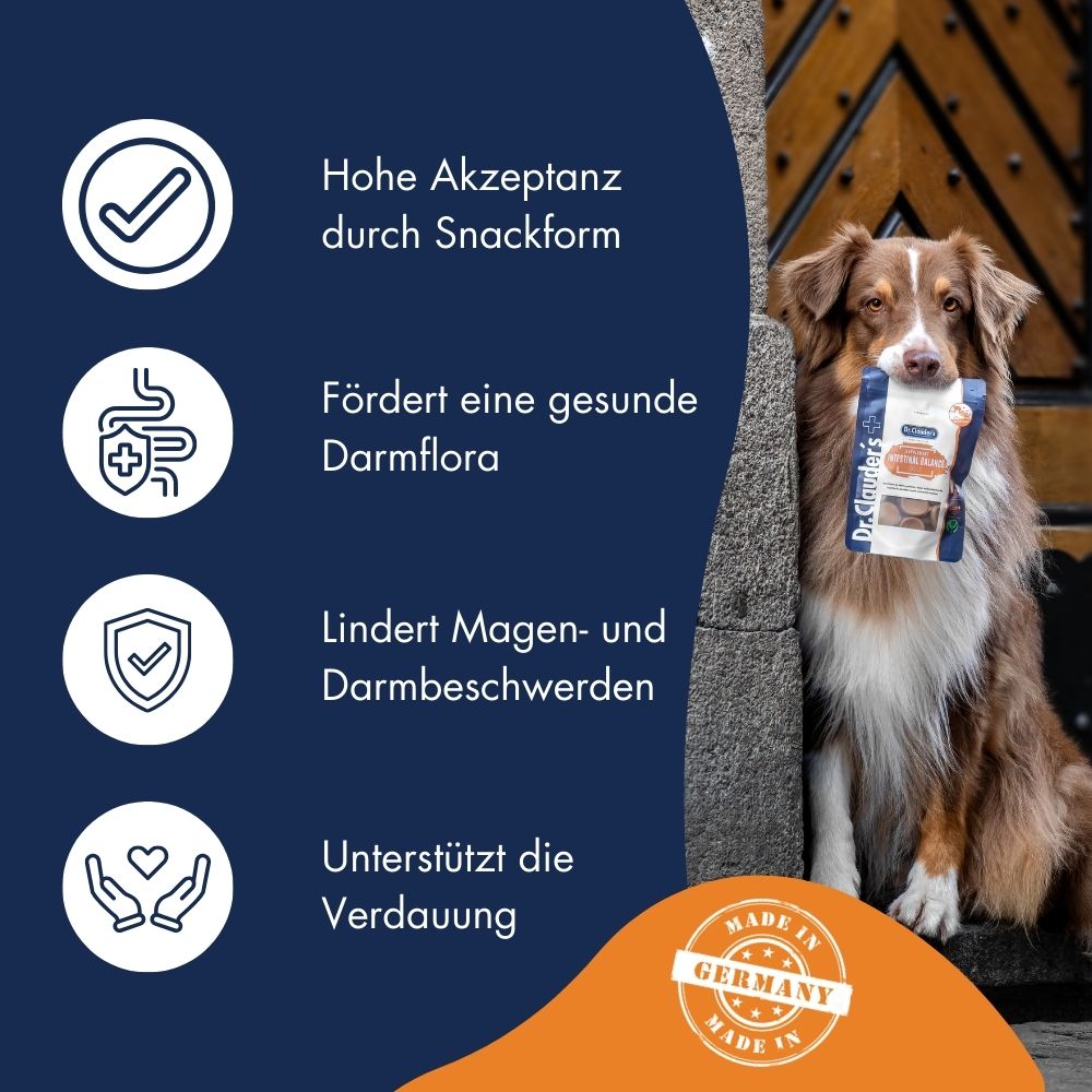 Supplement Snack Intestinal Balance