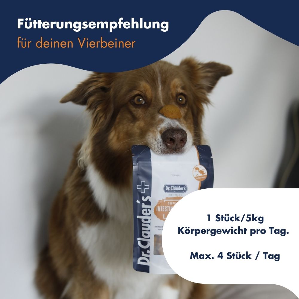 Supplement Snack Intestinal Balance