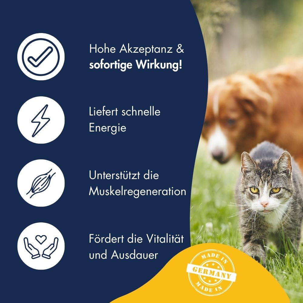 Supplement Snack Extra Power