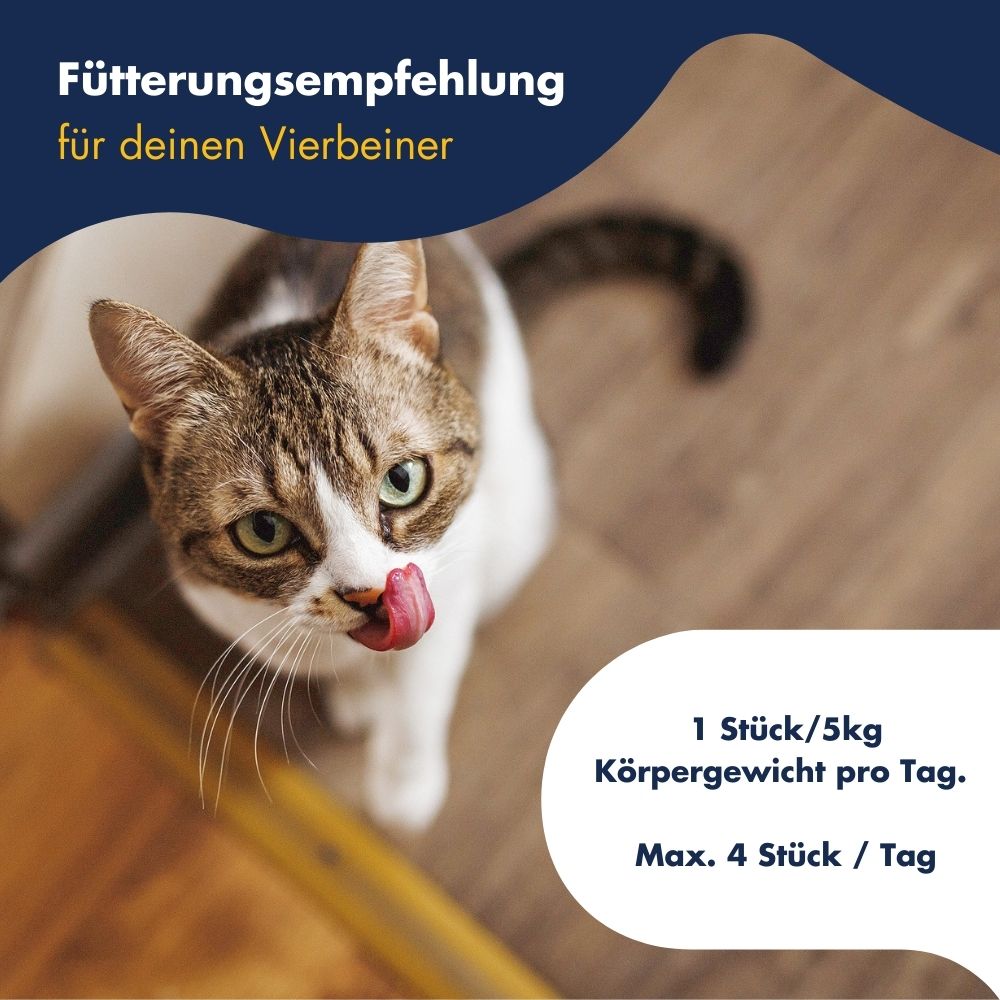 Supplement Snack Extra Power