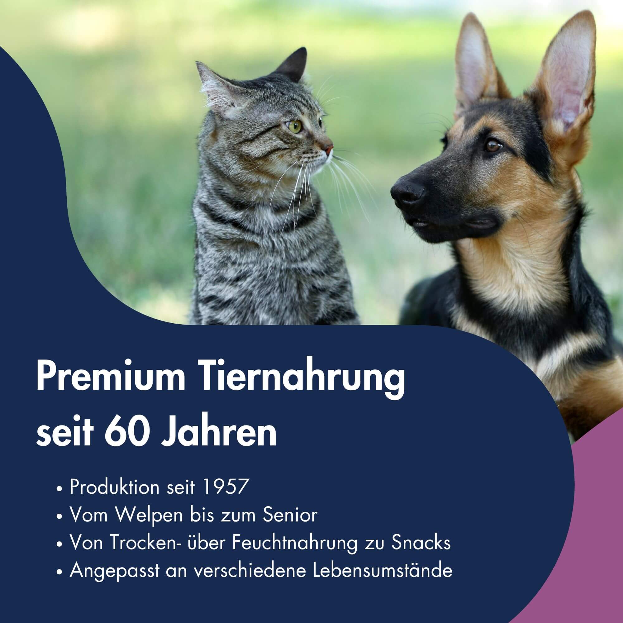 Supplement Snack Relax