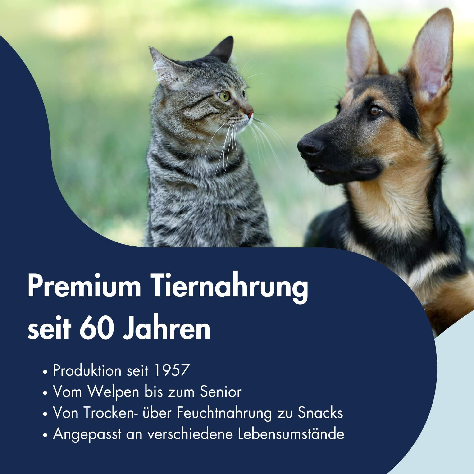 Trainee Snack Cultivated Protein