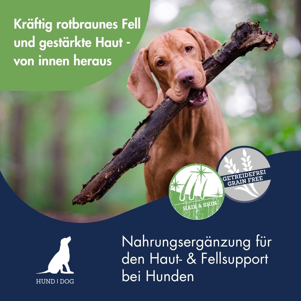 Pigment Aktiv Möhren Pellets