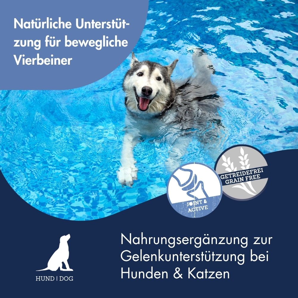 Gelenk Support Pulver