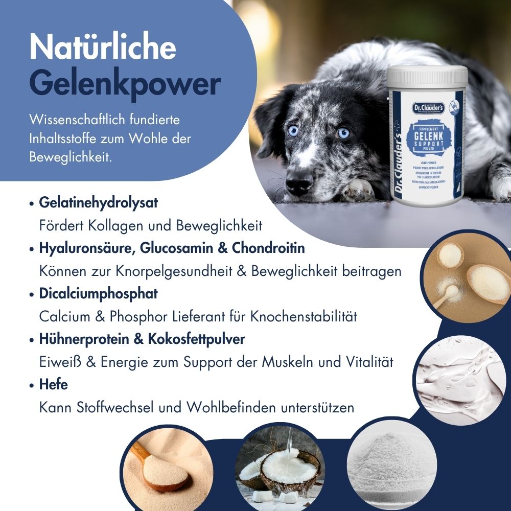 Gelenk Support Pulver