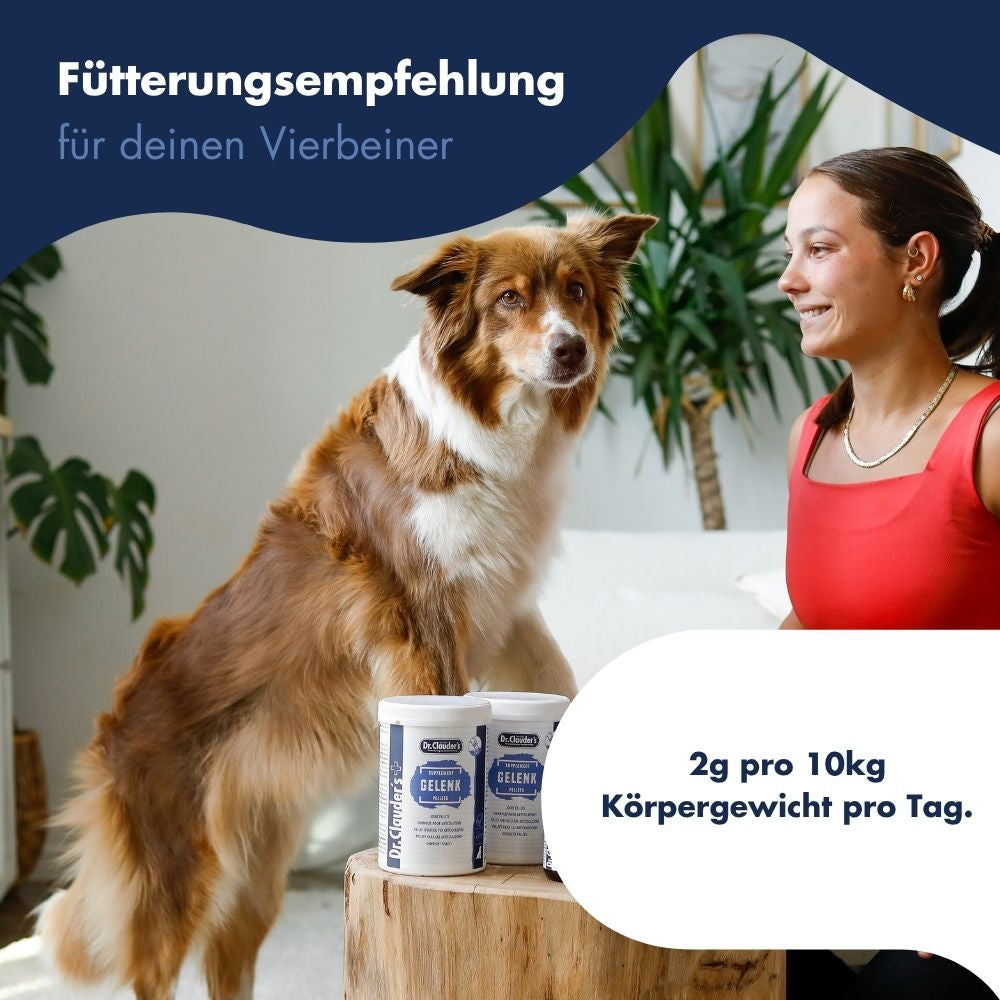 Gelenk Support Pulver