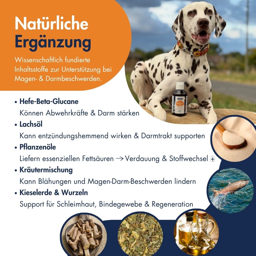 Intestinal 20 Kräuteröl