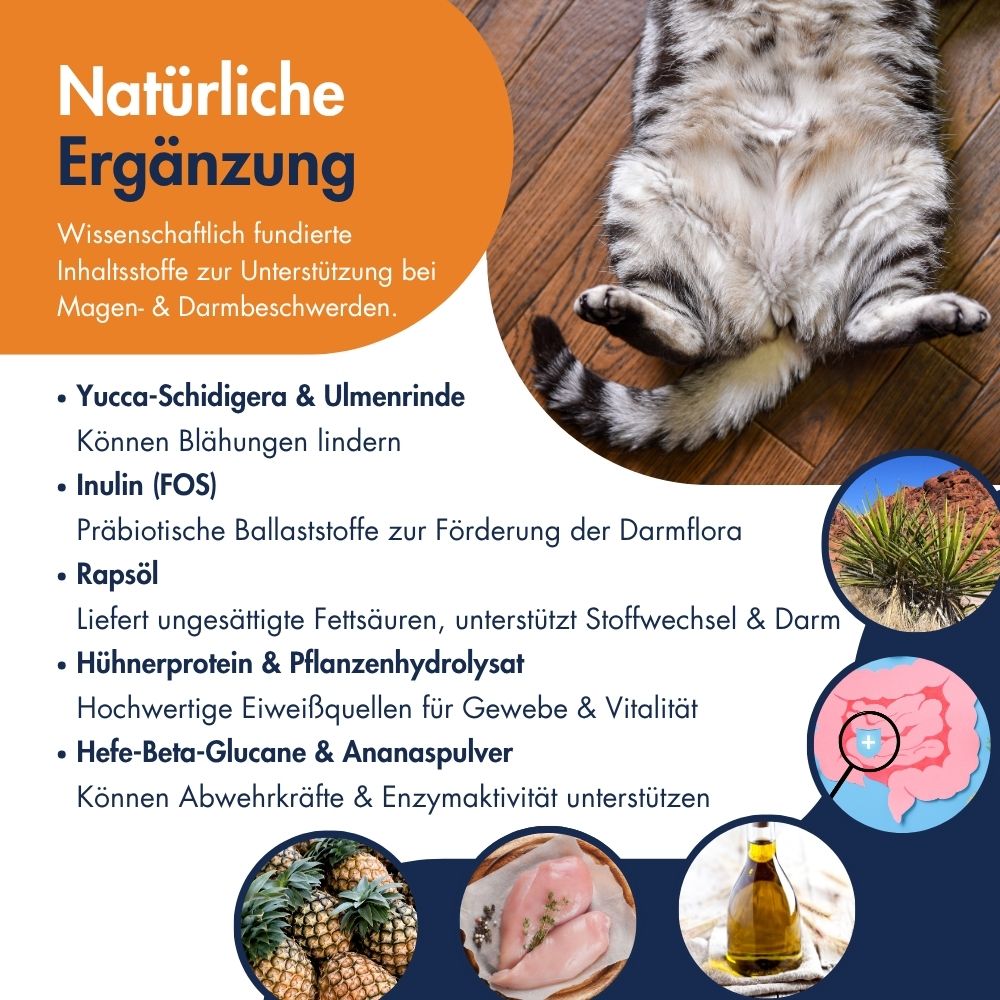 Magen-Darm Emulsion 150g