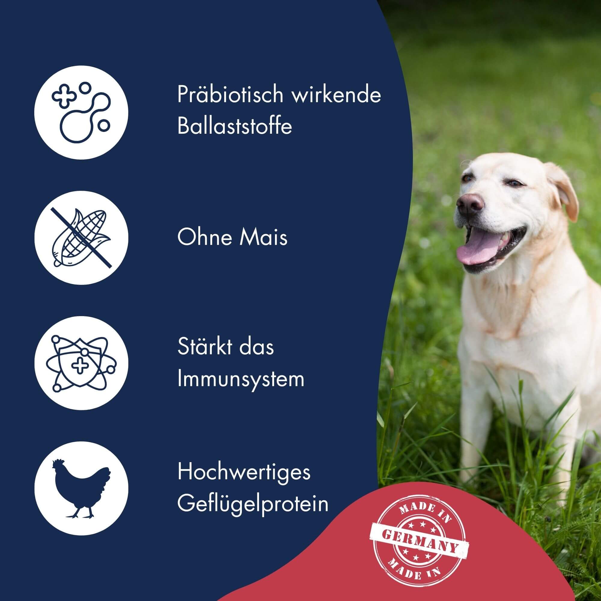 Best Choice Adult Medium