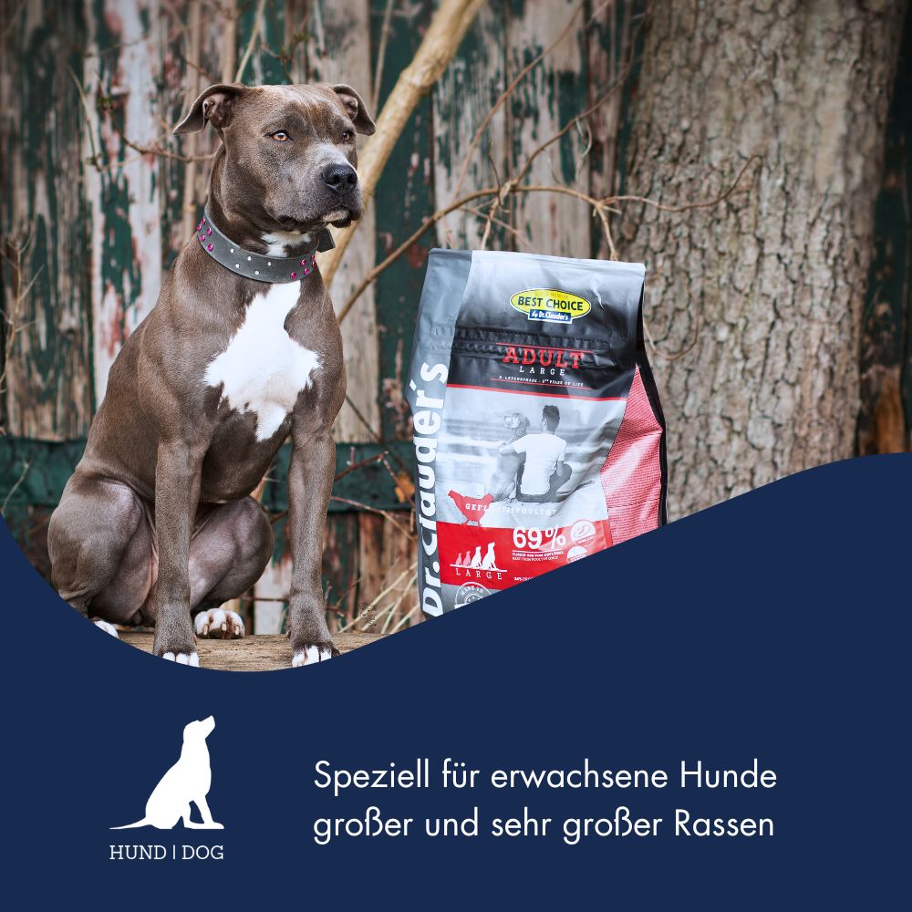 Best Choice Adult Large