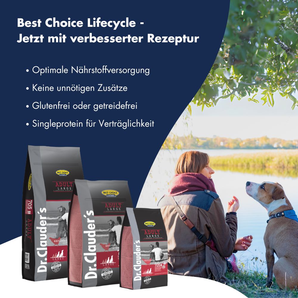 Best Choice Adult Large