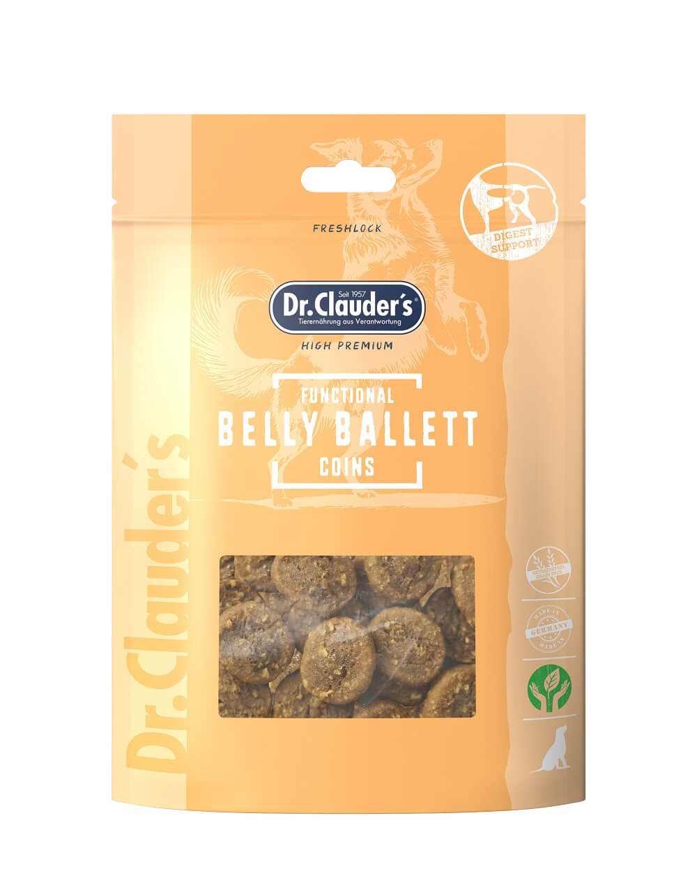 Functional Coins Belly Ballett