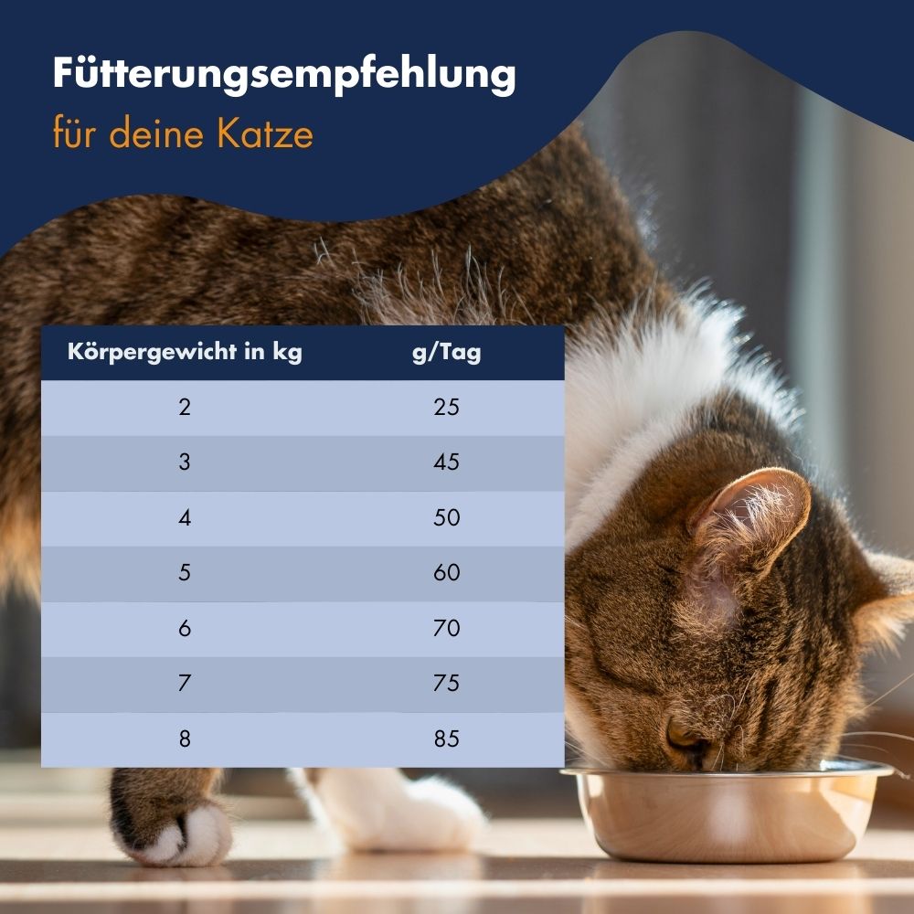 Dr.Clauder's High Premium Sterilised Senior Light