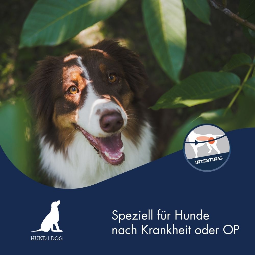 Special Diet Intestinal