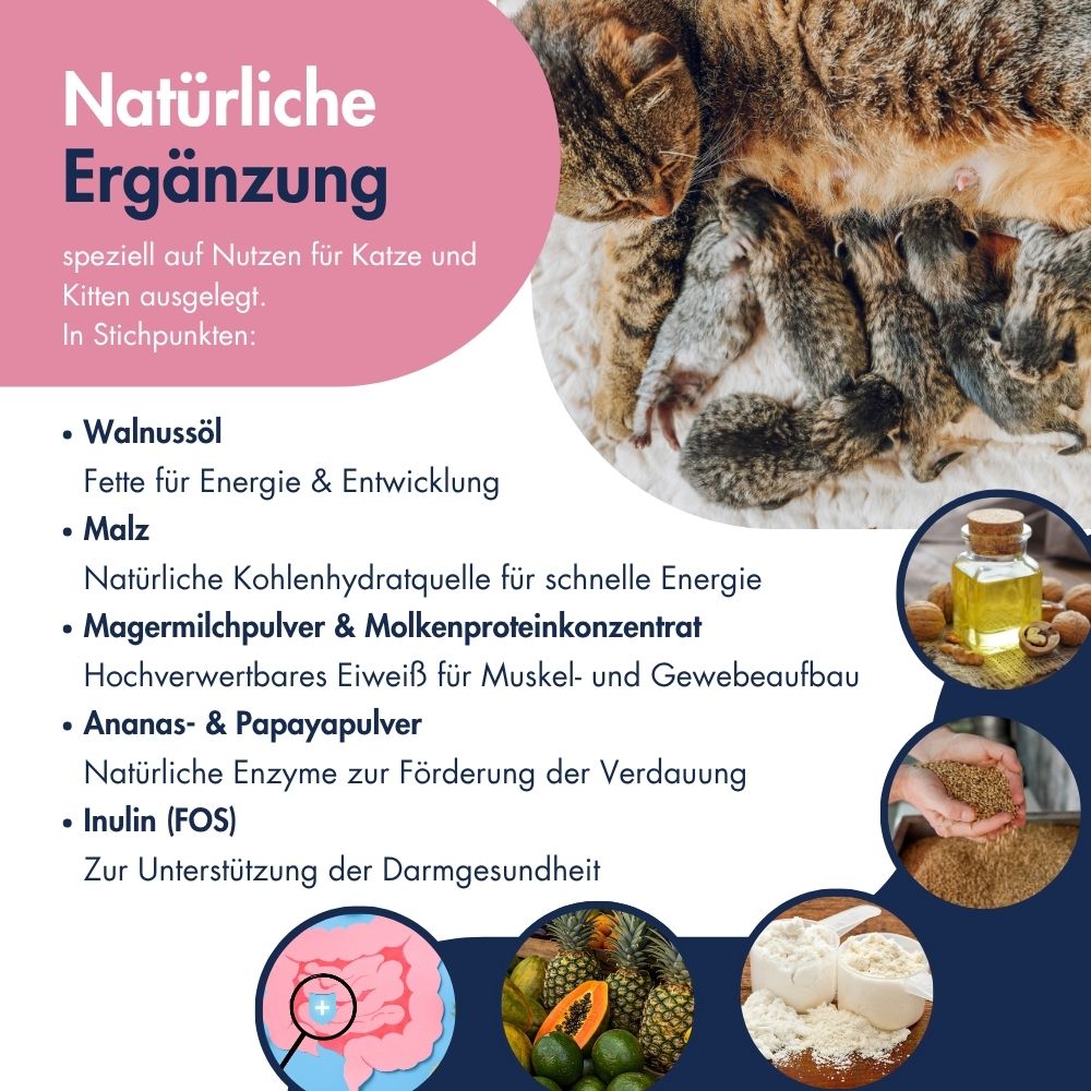 Katze Kätzchen Emulsion