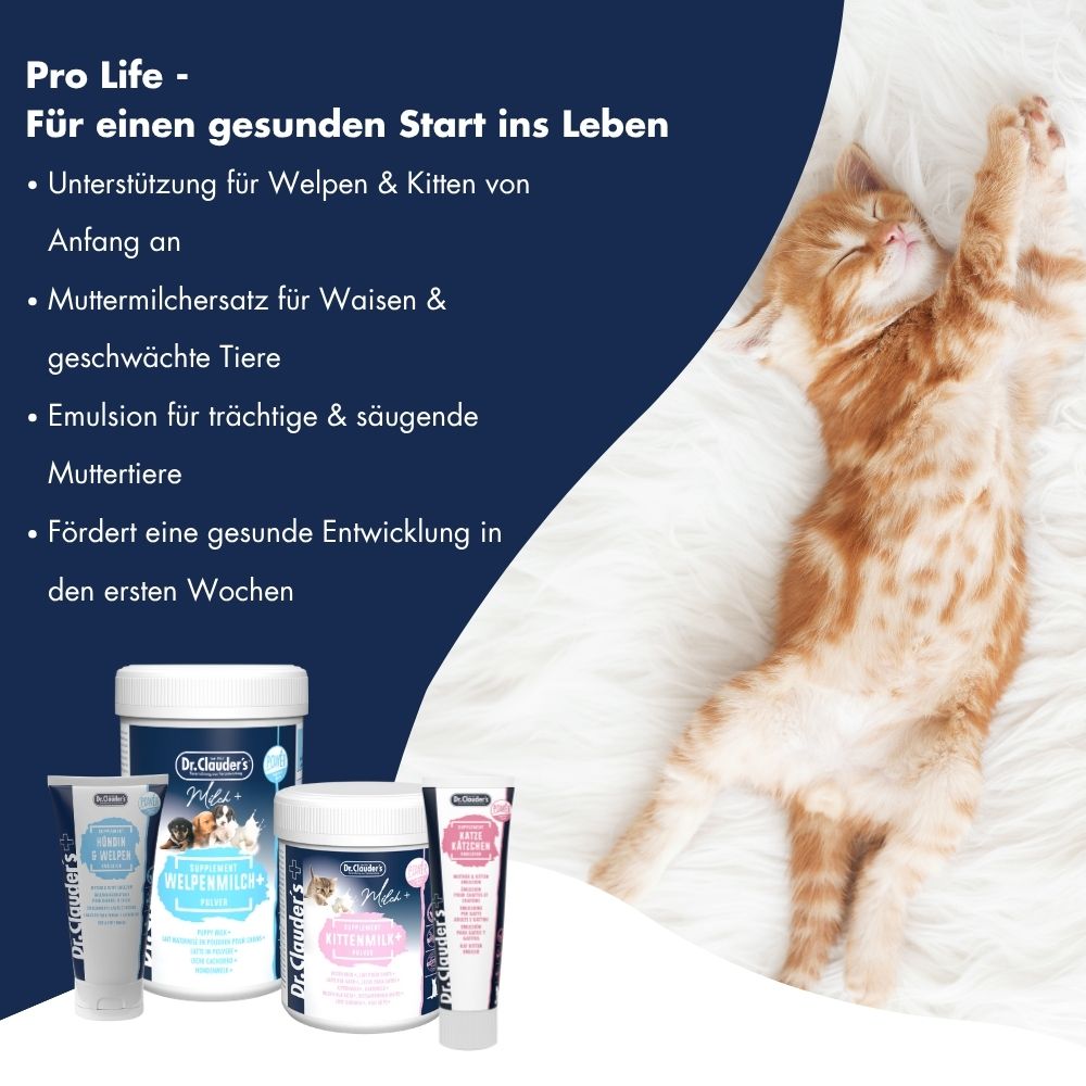 Katze Kätzchen Emulsion