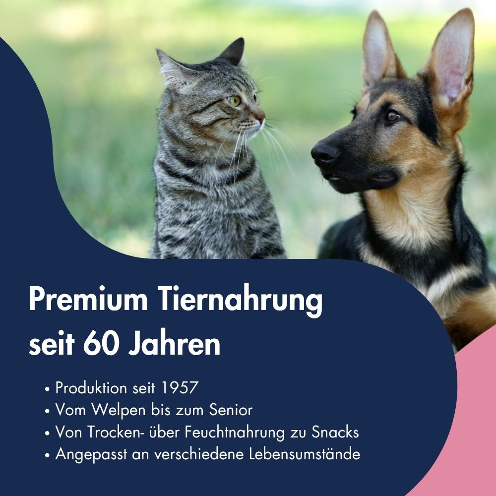 Katze Kätzchen Emulsion