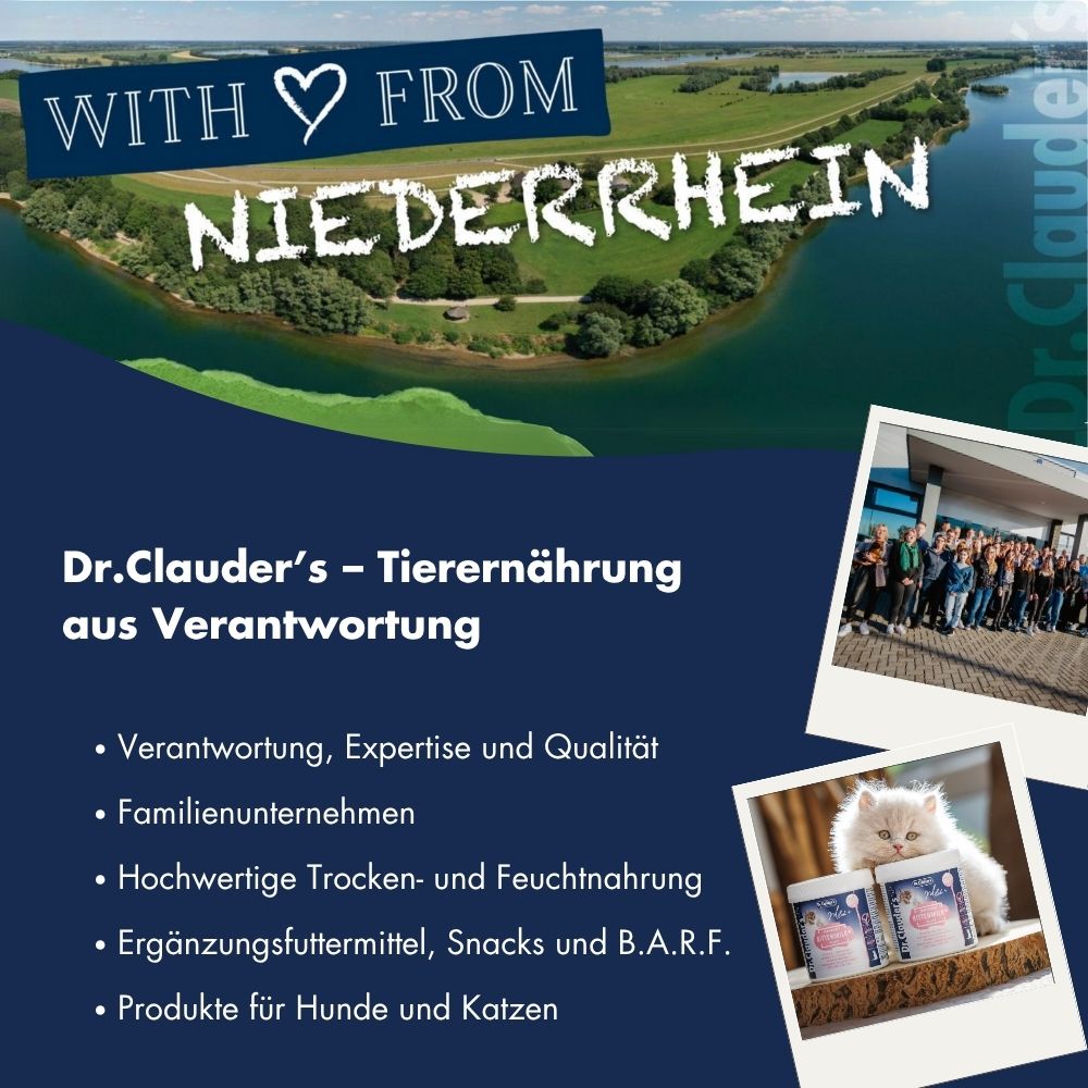 Katze Kätzchen Emulsion