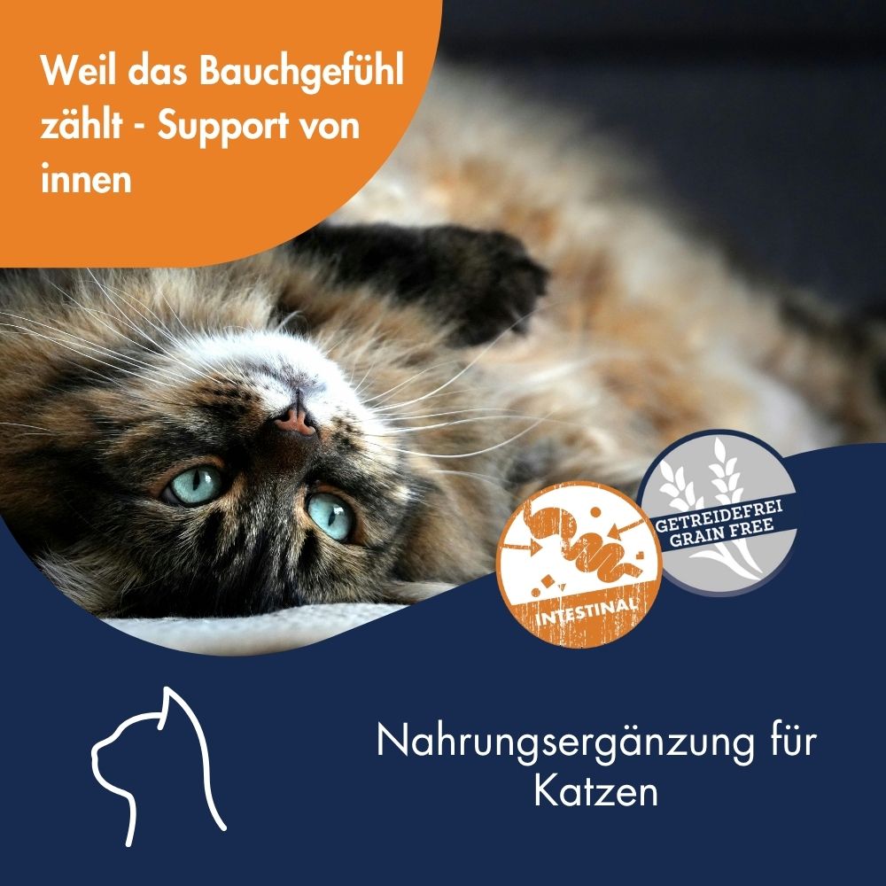 Antihairball Paste mit Taurin