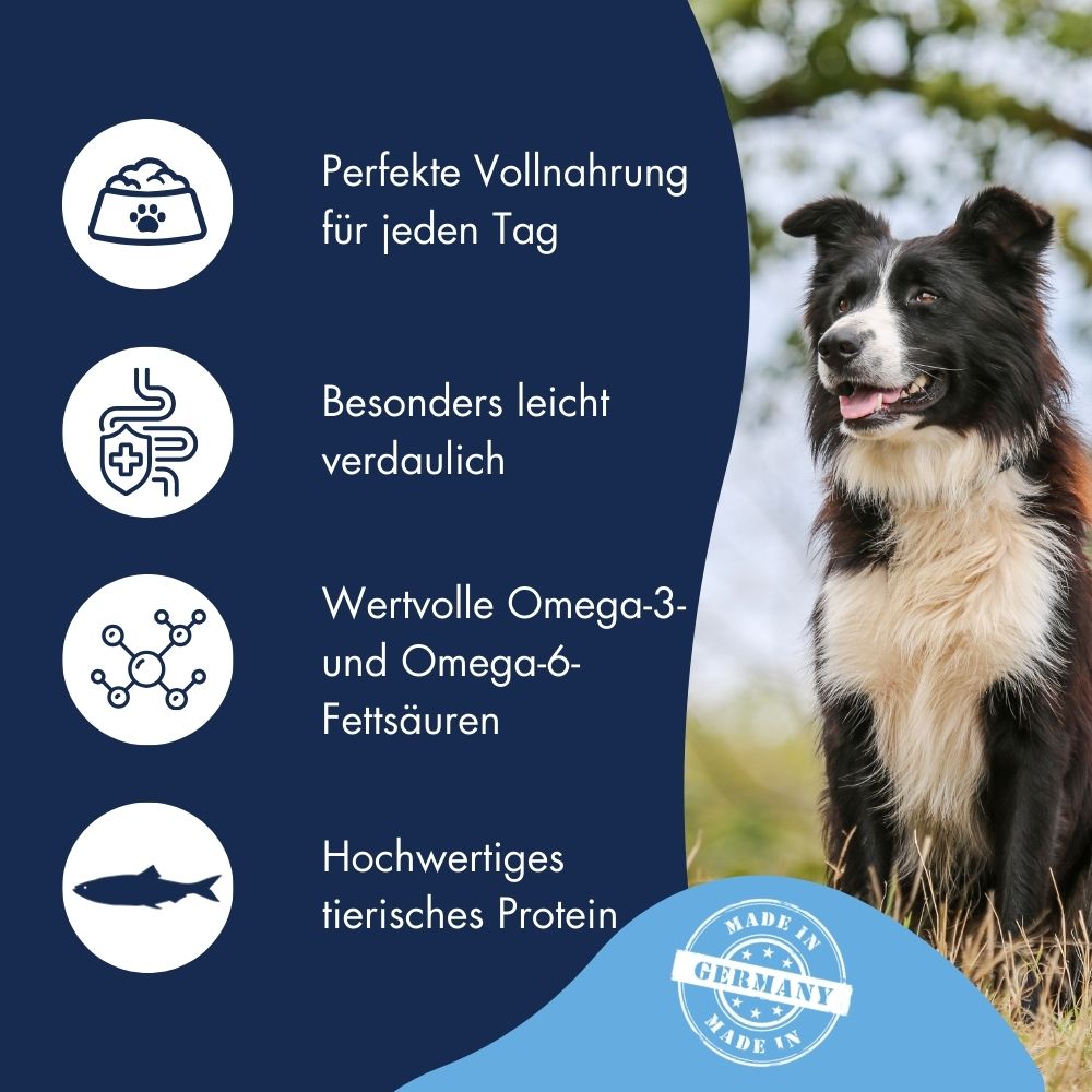 High Premium Fisch & Reis