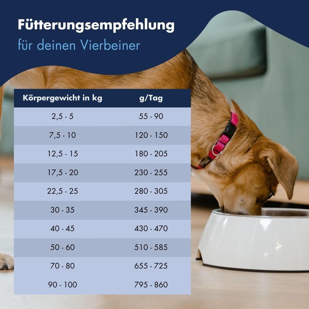 High Premium Fisch & Reis