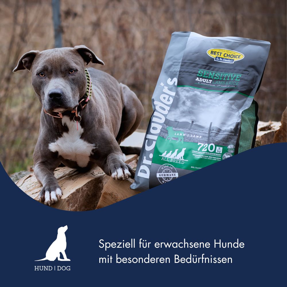 Best Choice Adult Lamm & Reis