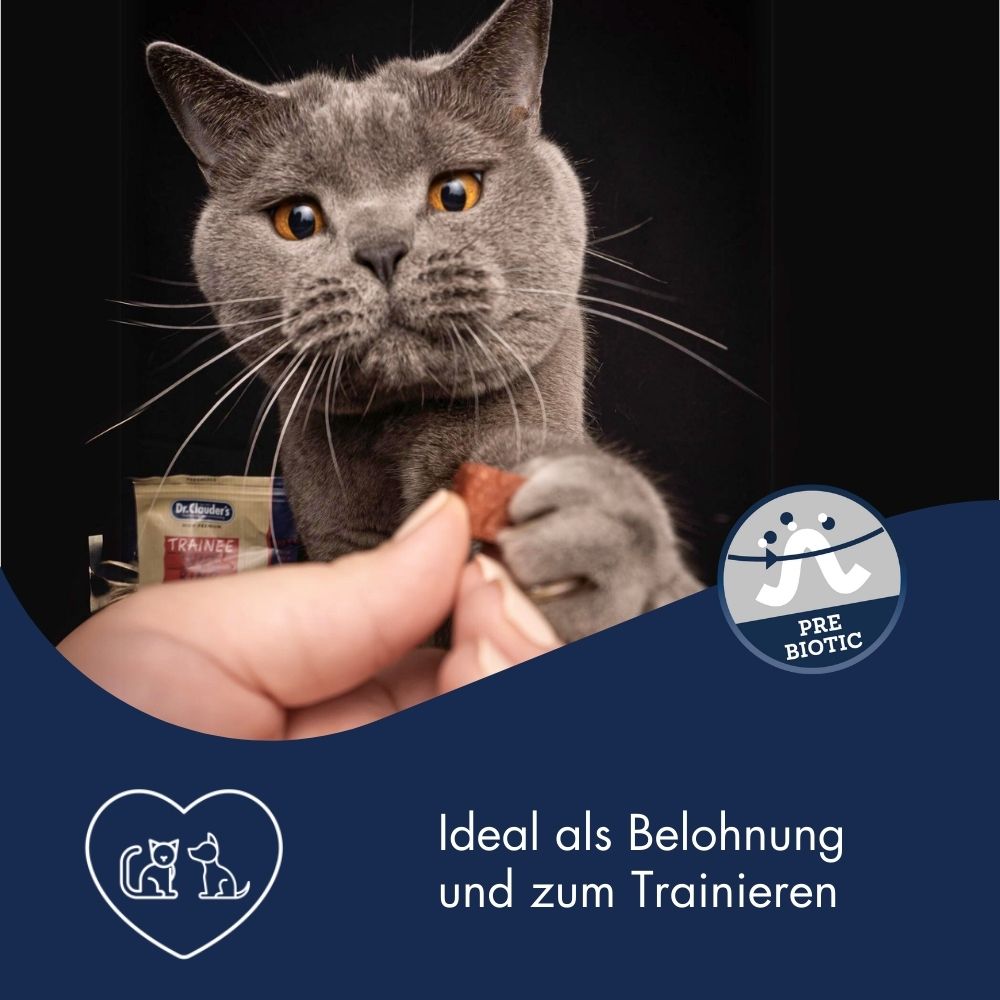 Dr.Clauder´s Trainee Snack Pferd