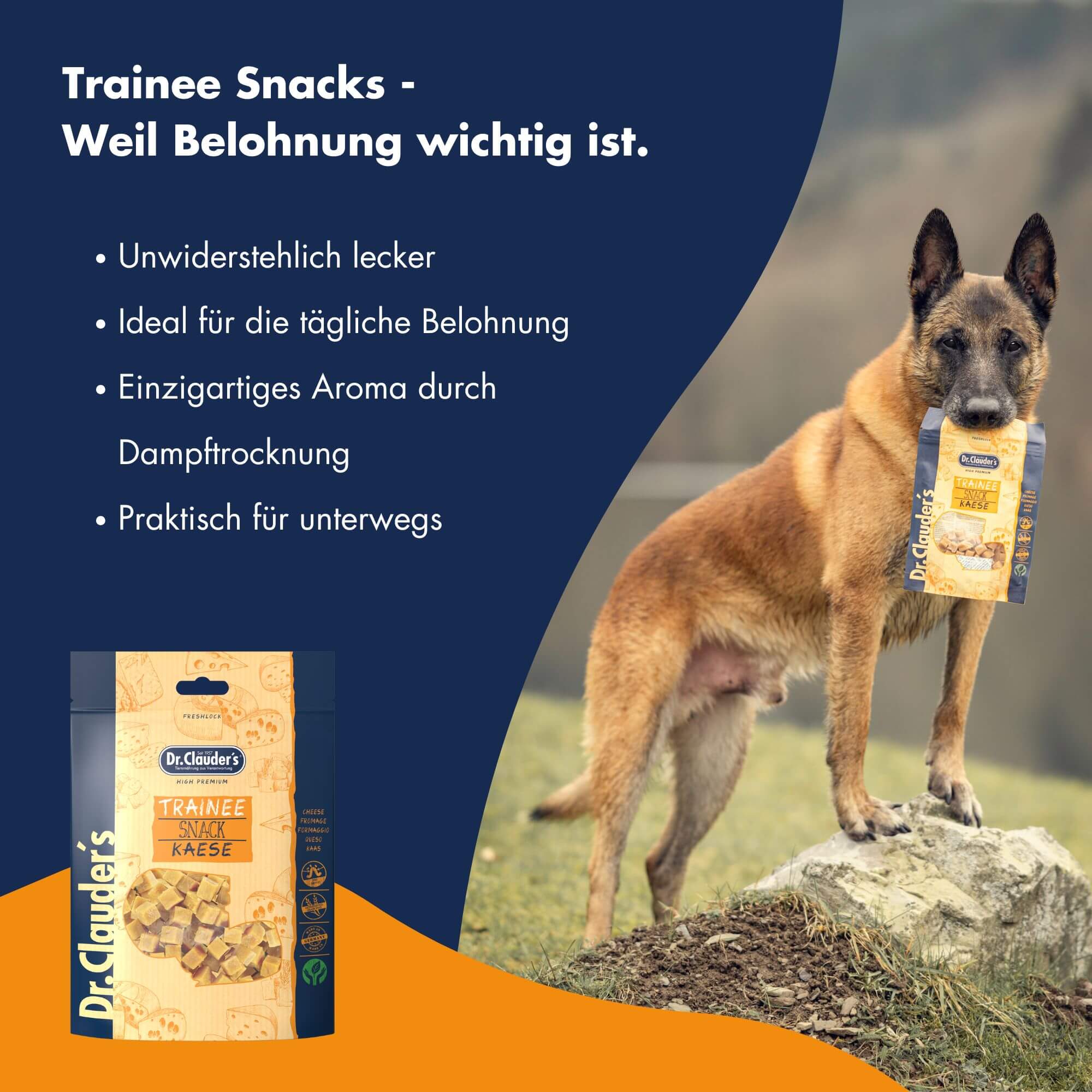 Dr.Clauder´s Trainee Snack Käse