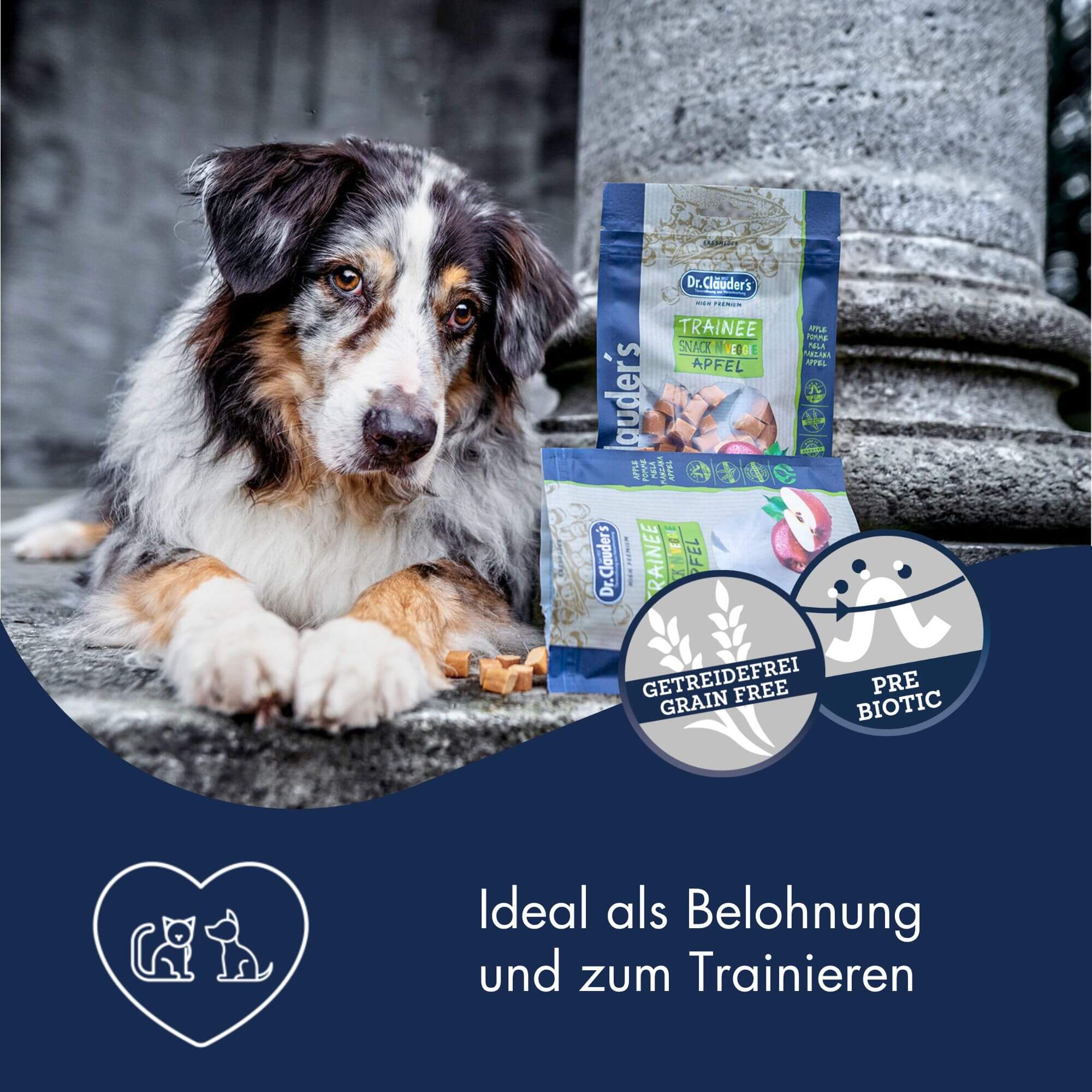 Dr.Clauder´s Trainee Snack Veggie Apfel