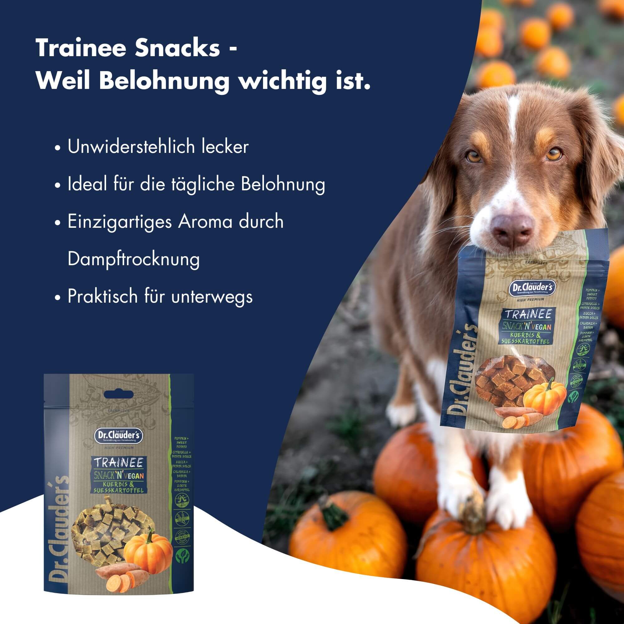 Dr.Clauder´s Trainee Snack Vegan Kürbis & Süßkartoffel