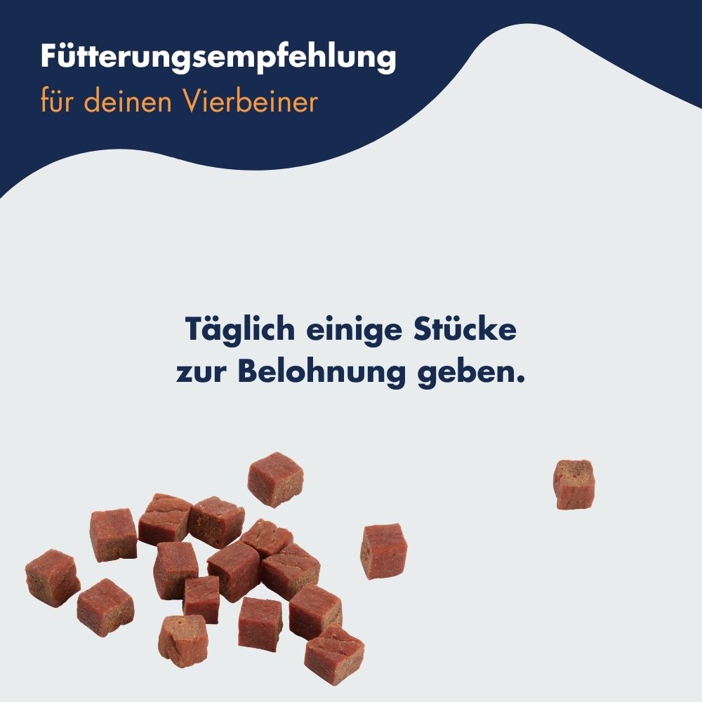 Dr.Clauder´s Trainee Snack Ente