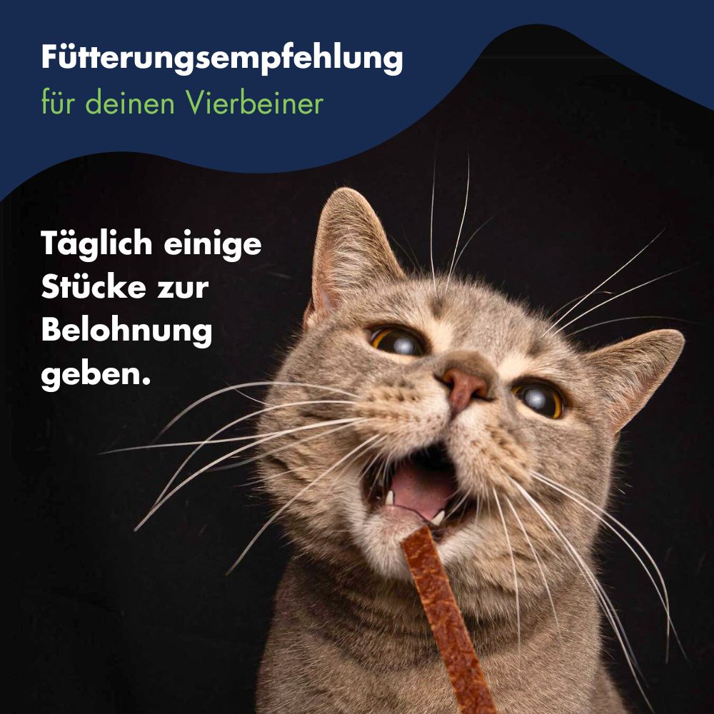 Dr.Clauder´s Stripes Snack Lamm Small