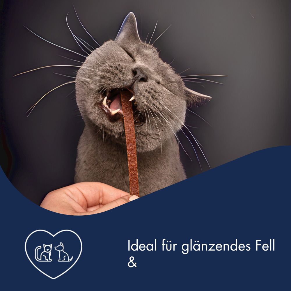 Dr.Clauder´s Stripes Snack Pferd Small